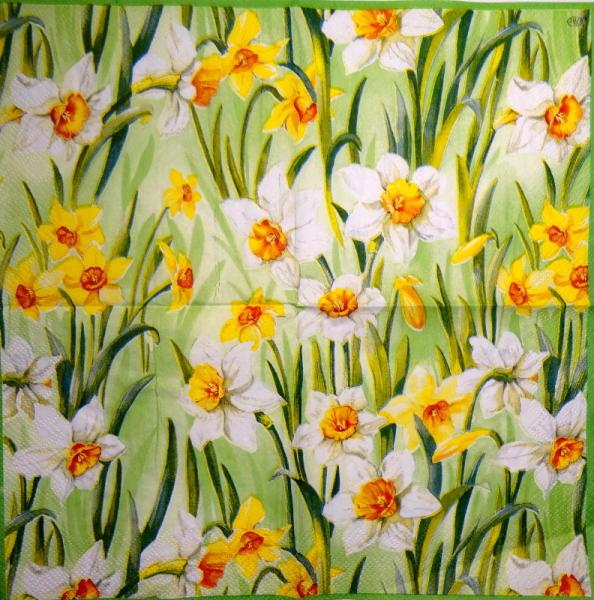 098 Daffodils - 3-ply (grün) - Ihr